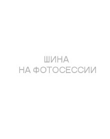 Автошина Sunfull SF-889 195/55/16 91V