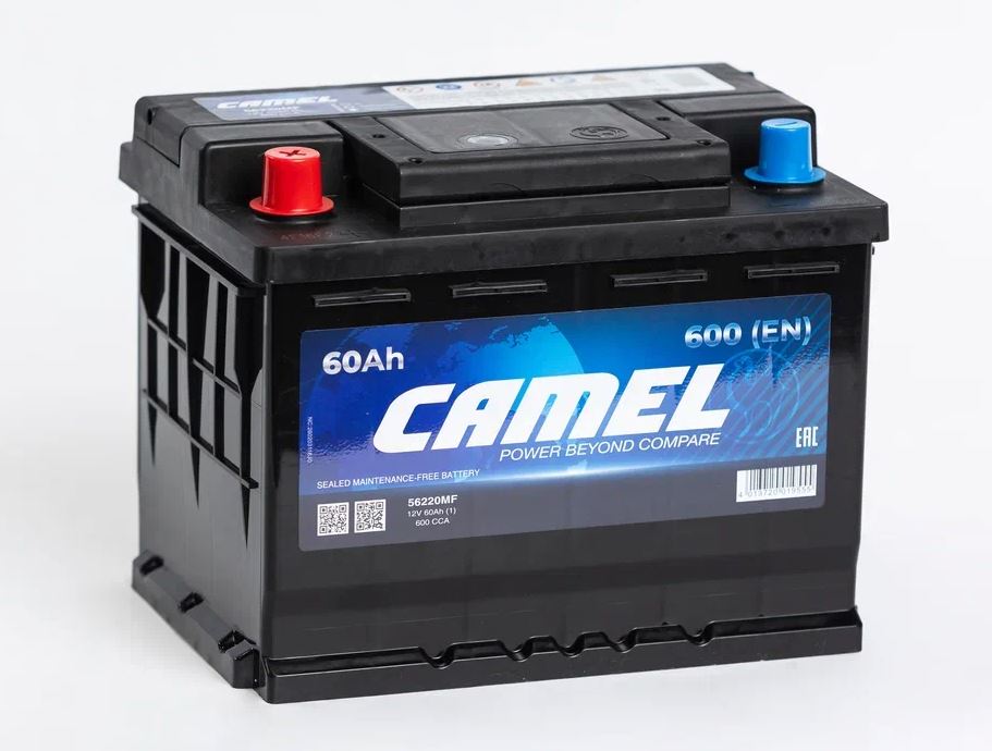 3ec02f6a-0575-11f0-9b9e-a9e83a98c7a3 1