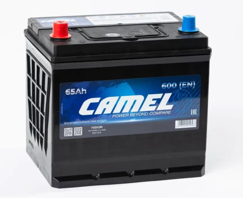 d05bb9a1-057f-11f0-9b9e-a9e83a98c7a3 1